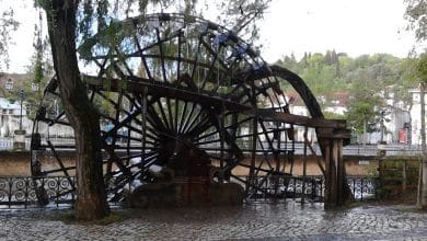 roda mouchao IMG 20190425 083140