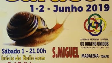 1 6 2849615396787453952 n