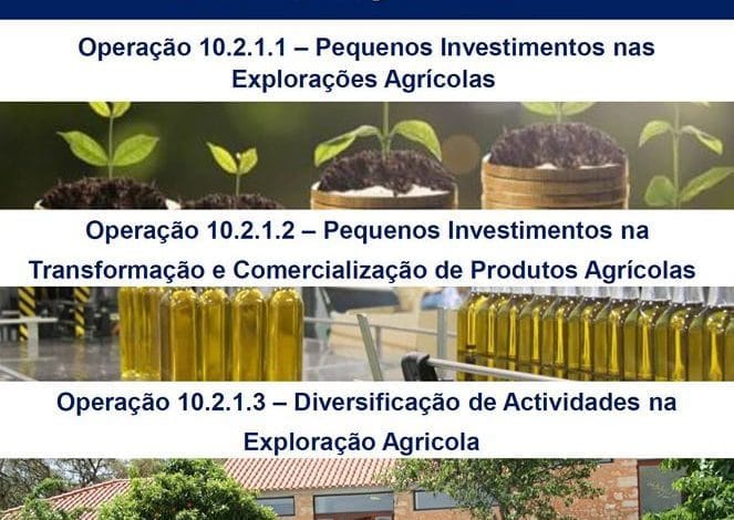 ADIRN promove sessão de esclarecimento sobre apoios a explorações agrícolas 13 5 5 6435546848496189440 n