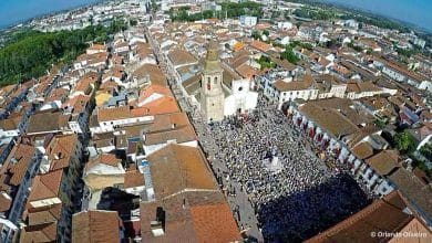 Tabuleiros Tomar Orlando Oliveira 14 6380801153528320621 n