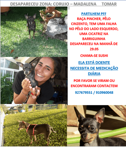 apelo 664 1821643248259563520 n