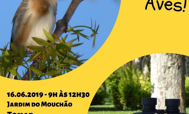 À descoberta das aves em Tomar 16 6 Aqui ha Aves Jun2019