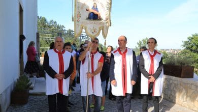CIRIO ALVIOBEIRA7