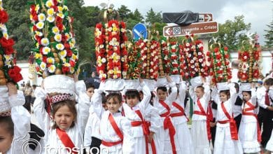cortejo dos rapazes 2015 fotoshop 700955416163228778 n