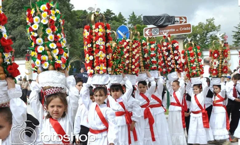 Festa dos Tabuleiros: cerca de 1650 crianças no “Cortejo dos Rapazes” cortejo dos rapazes 2015 fotoshop 700955416163228778 n