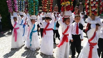 cortejo dos rapazes 2019
