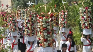 tabuleiros carregueiros 1122375629733888 n