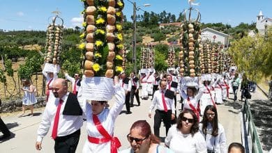 tabuleiros carregueiros IMG 20190609 134121