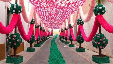 tabuleiros ruas ornamentadas 7 5743902915924328448 n