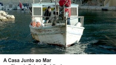 2 7 CARTAZ DIA 2