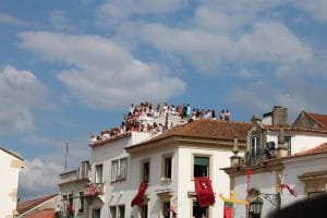 apanhados IMG 0204