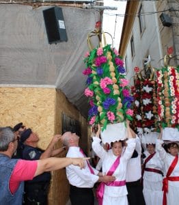 apanhados IMG 0301