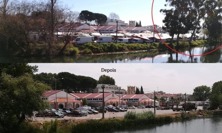 Câmara abate cinco eucaliptos junto ao mercado (c/ fotos e vídeo) mercado IMG 20190315 095643 Copy