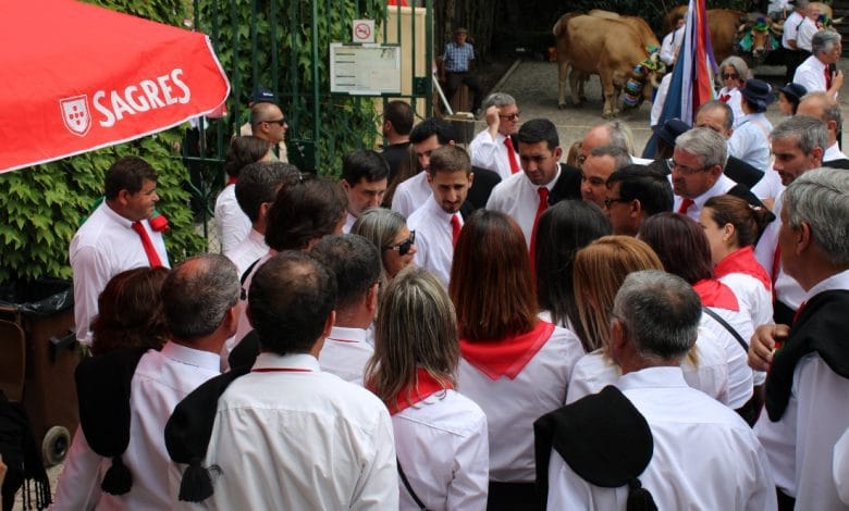 segredos festa IMG 0083