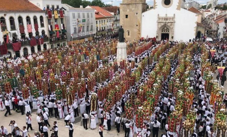 tabuleiros 2019 773777747312640 n