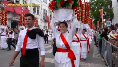 tabuleiros video