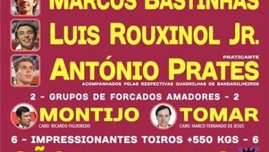 9 8 113753249153024 n
