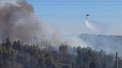 incendio IMG 0702