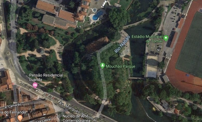 Cidadãos alertam para árvores em perigo mouchao