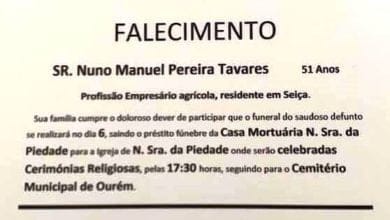 nec 11476934216253440 n