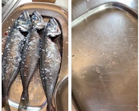 Peixe com larvas vendido numa superfície comercial em Santarém santarem carapaus