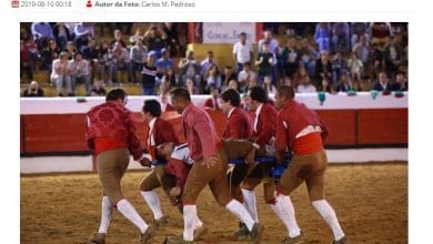 toiros forcados