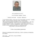RAUL HENRIQUES DA SILVA
