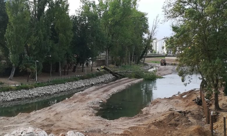 Várias árvores abatidas junto ao rio Nabão (c/ fotos e vídeo) arvore abate rio nabao IMG 20190930 075340