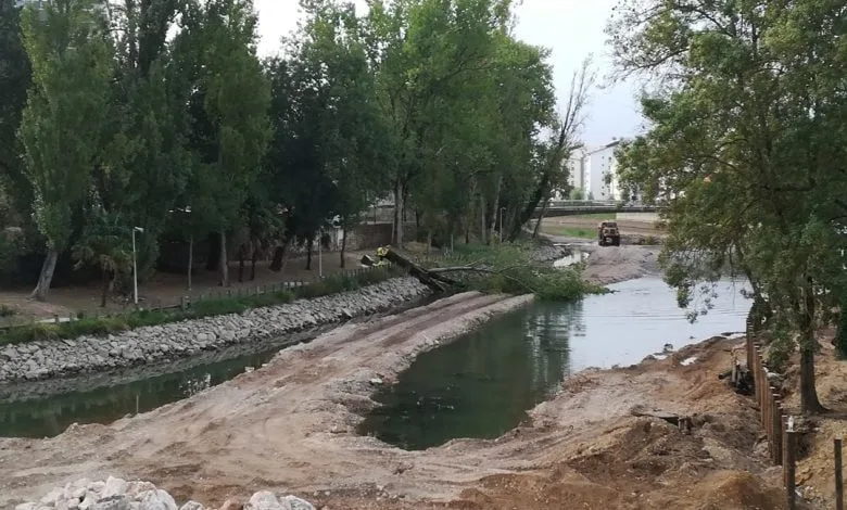 Várias árvores abatidas junto ao rio Nabão (c/ fotos e vídeo) arvore abate rio nabao IMG 20190930 075340