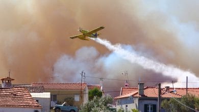 incendio Kees Scherer 60 8694032538986872832 o