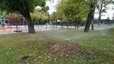 rega jardim relva IMG 20190922 105326