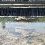 rio nabao desassoreamento IMG 20190903 144109