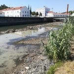 rio nabao desassoreamento IMG 20190903 150550