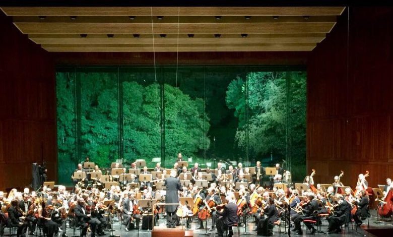 Dois tomarenses na orquestra internacional de médicos w 6481042654 6433961331254099968 n