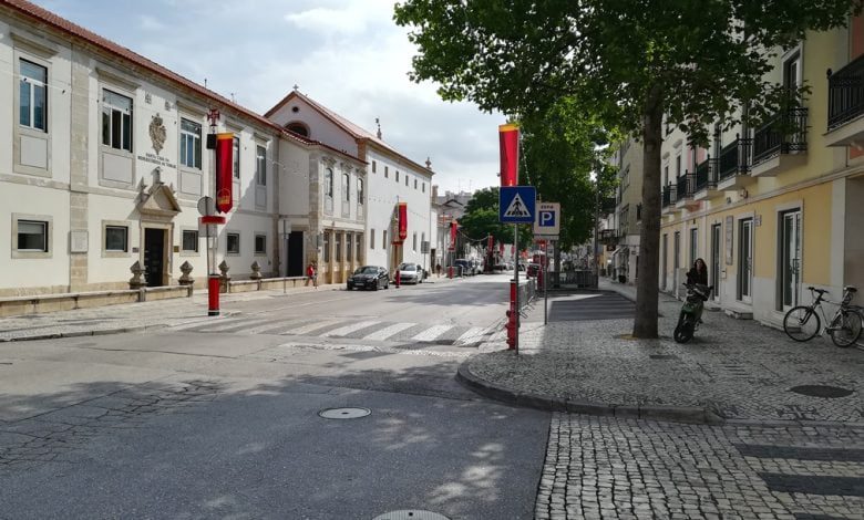 Árvores das avenidas Cândido Madureira e Norton de Matos vão ser podadas av. candido madureira bancadas IMG 20190703 094054