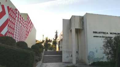 biblioteca IMG 20191006 080226