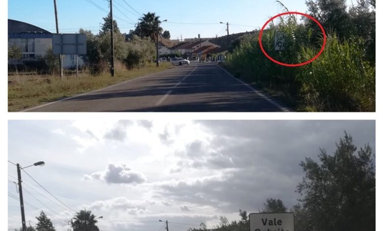 Descubra as diferenças ervas vale florido 567890