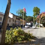 poda arvores IMG 20191009 100748