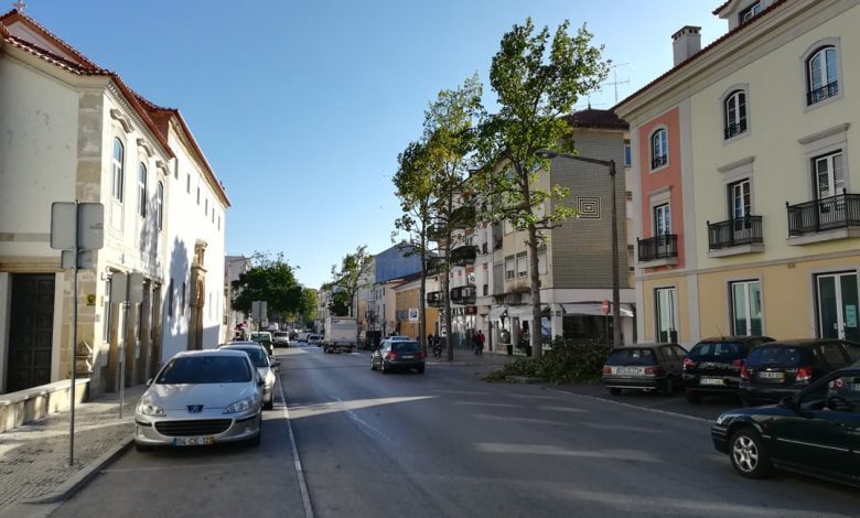 Árvores podadas dão nova imagem à avenida poda arvores IMG 20191009 100856