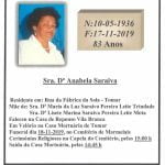 anabela saraiva 9283374 5815602039106830336 n