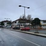 arvores IMG 20191129 073736