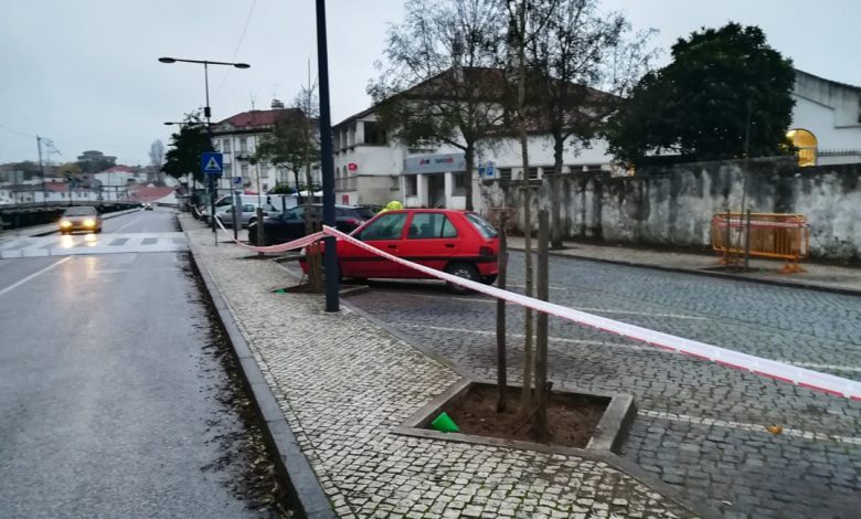 Já foram plantadas novas árvores na av. Marquês de Tomar arvores IMG 20191129 073746