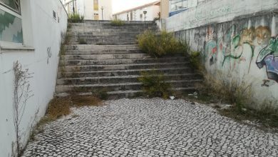 ervas IMG 20191006 074509