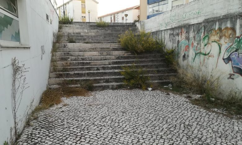 Lixo e ervas acumulam-se junto ao pavilhão Jácome Ratton ervas IMG 20191006 074509