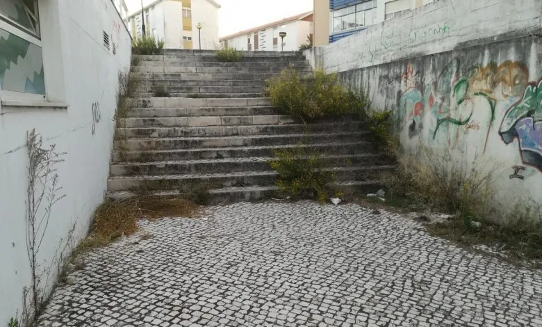 Lixo e ervas acumulam-se junto ao pavilhão Jácome Ratton ervas IMG 20191006 074509