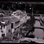 levada 290 6155869341368713216 o