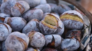 magusto castanhas