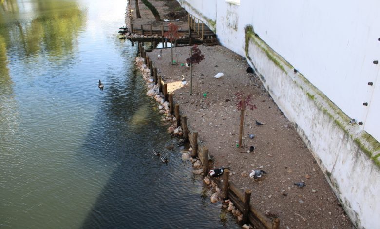 Novo espaço para os patos custou quase 20 mil euros patos rio IMG 1837