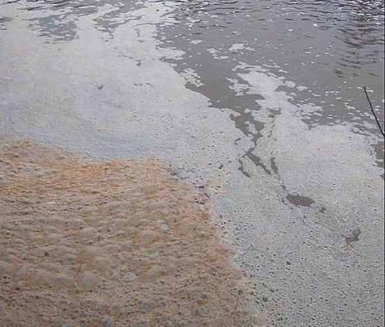 Mais descargas poluentes no rio Nabão (c/ fotos) poluicao rio vitor oliveira 707 2573782340656431104 n