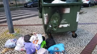 IMG 20191226 074323